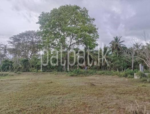 Agricultural Land for Sale in Tangalla