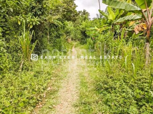 Commercial Land for Sale in Kalagedihena