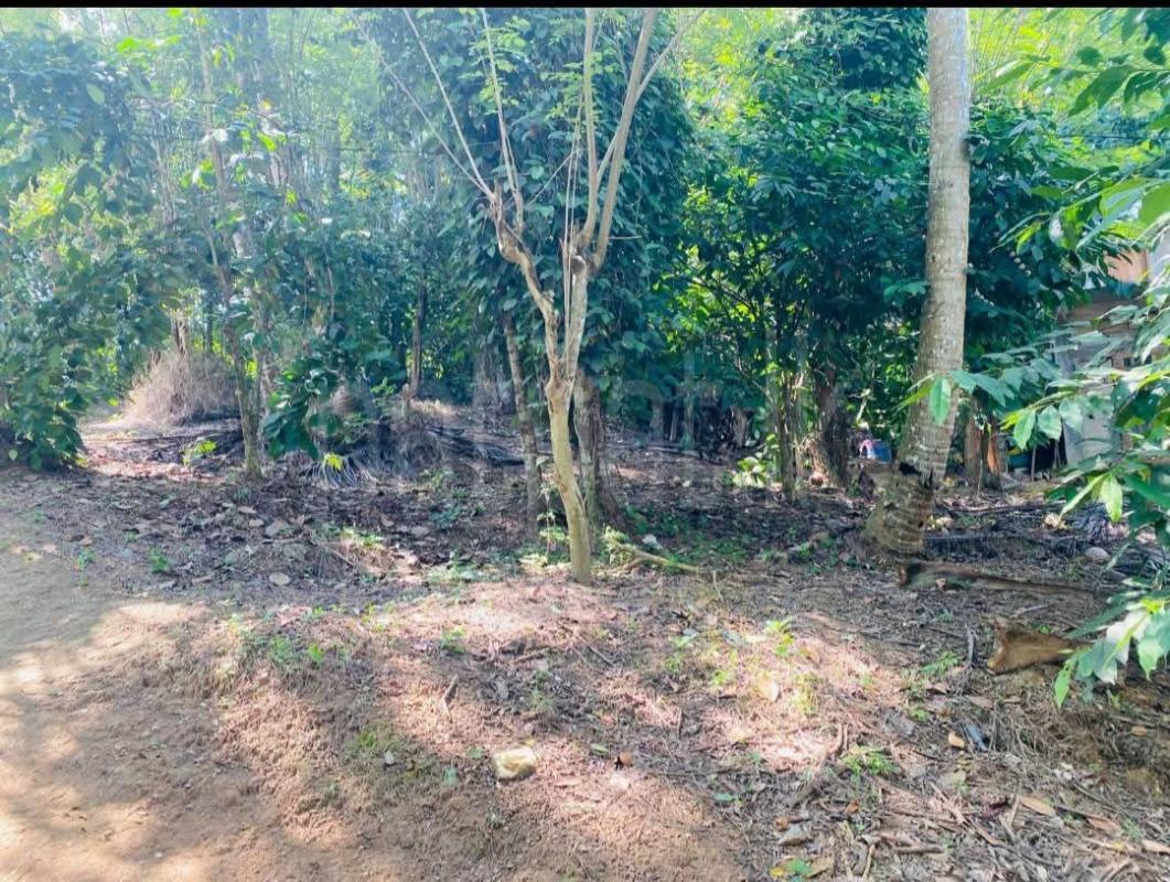 Residential Land for Sale in Kandy
