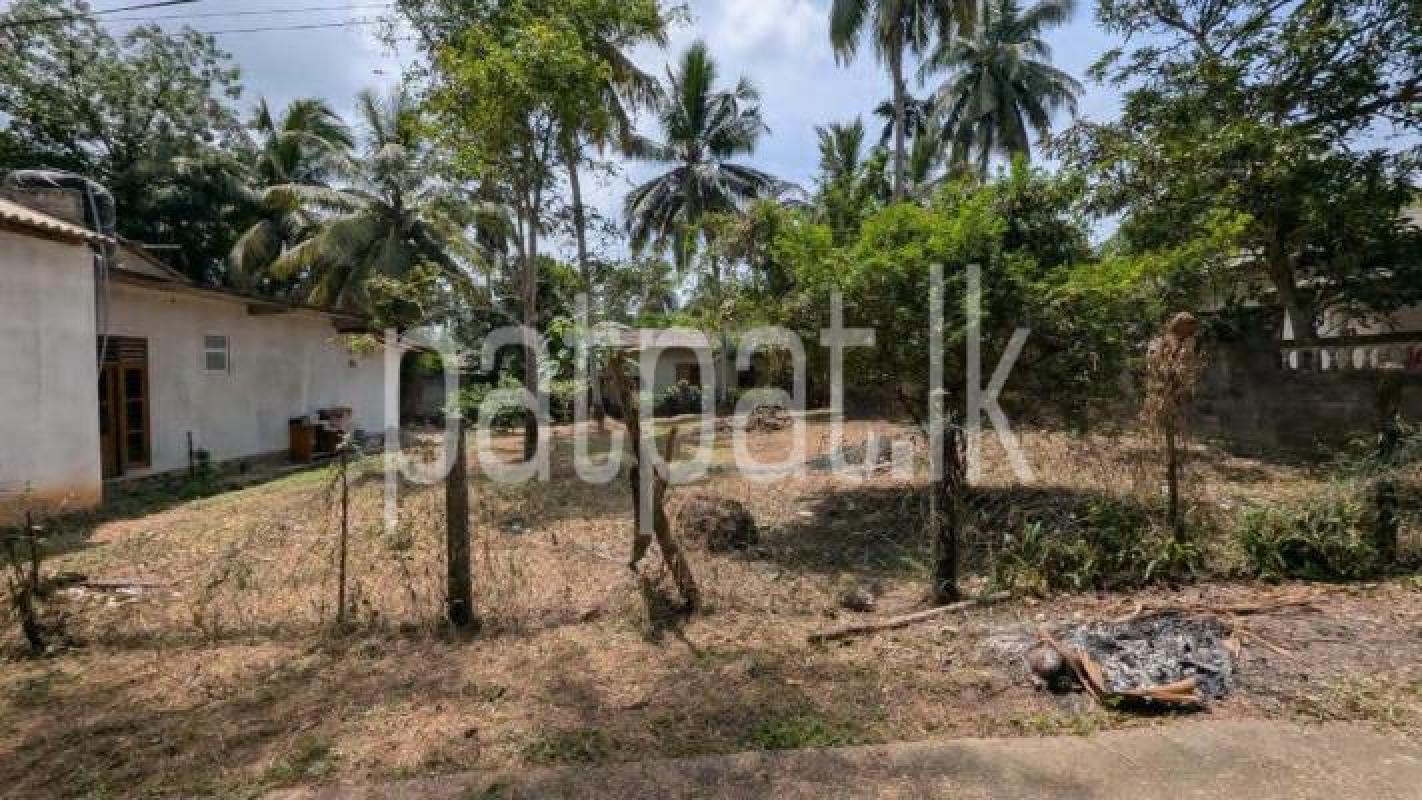 Residential Land for Sale in Kalagedihena