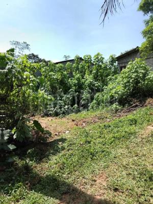 premium-listing-image