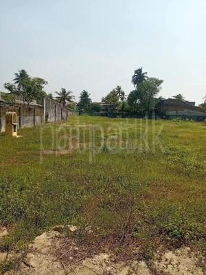 Commercial Land for Sale in Panadura