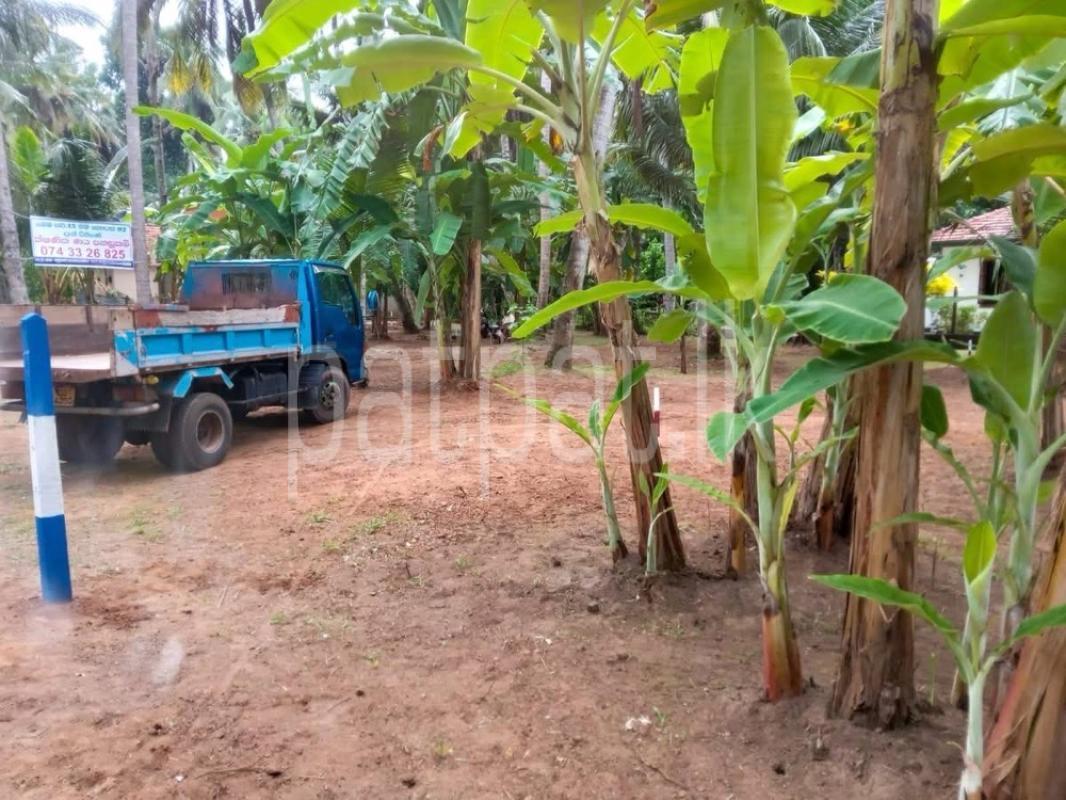 Residential Land for Sale in Mahawewa