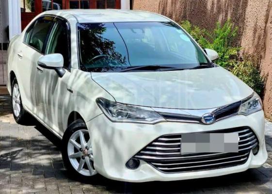 premium-listing-image