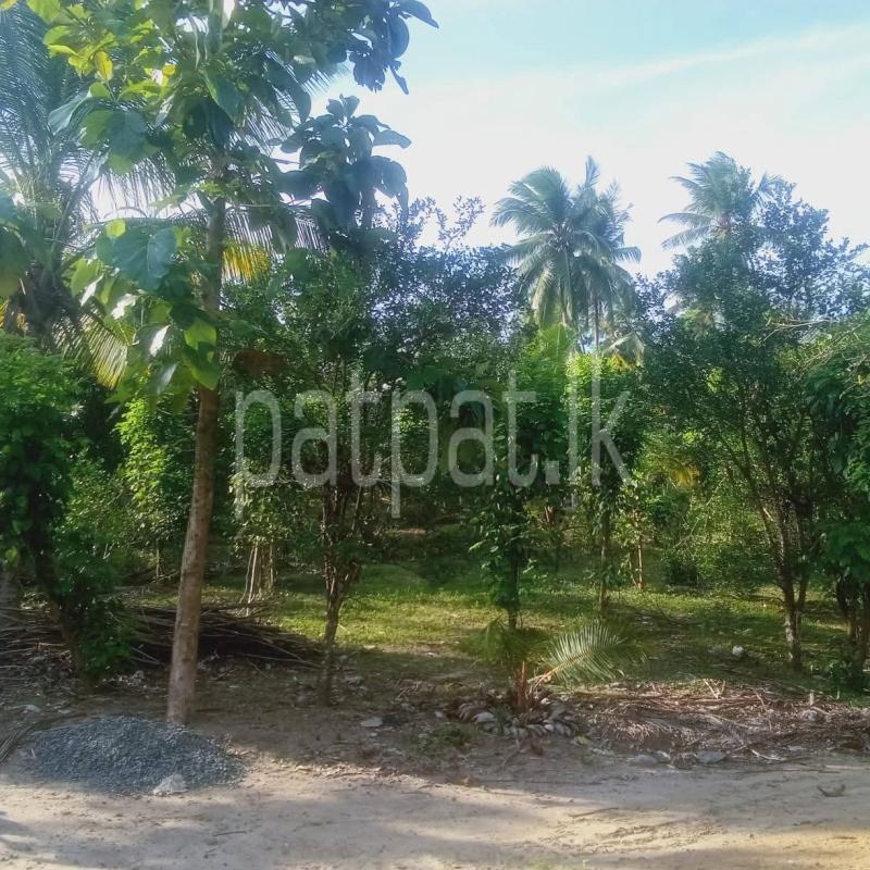Commercial Land for Sale in Weeraketiya