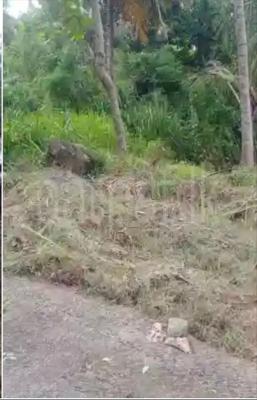 Residential Land for Sale in Matale