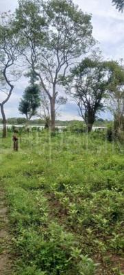 premium-listing-image