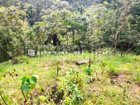 Residential Land for Sale in Veyangoda