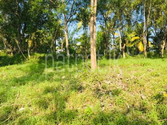 premium-listing-image