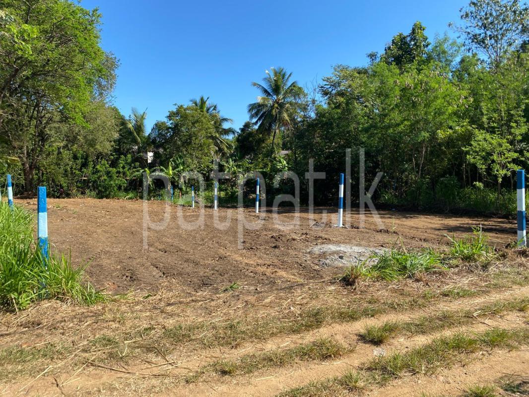 Residential Land for Sale in Wellawaya