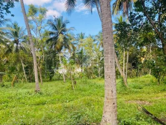 Residential Land for Sale in Hettipola