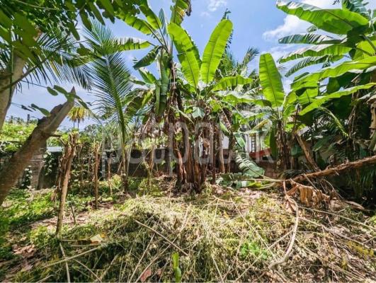 premium-listing-image