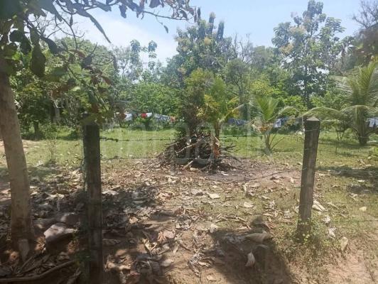 Residential Land for Sale in Puttalam