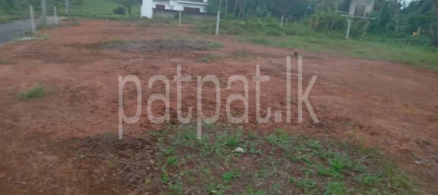 premium-listing-image