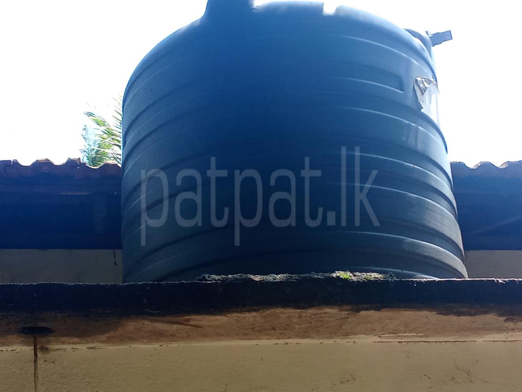 ads-image-1