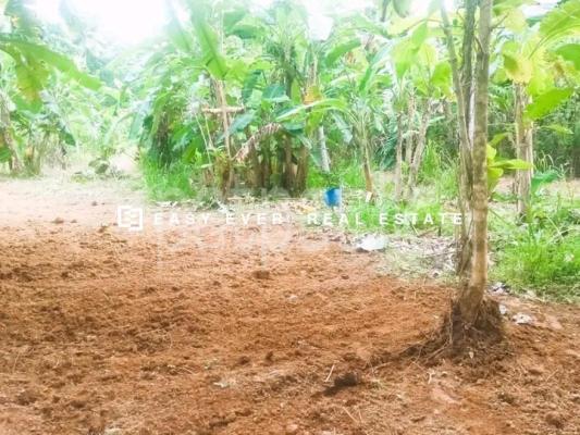 Commercial Land for Sale in Minuwangoda