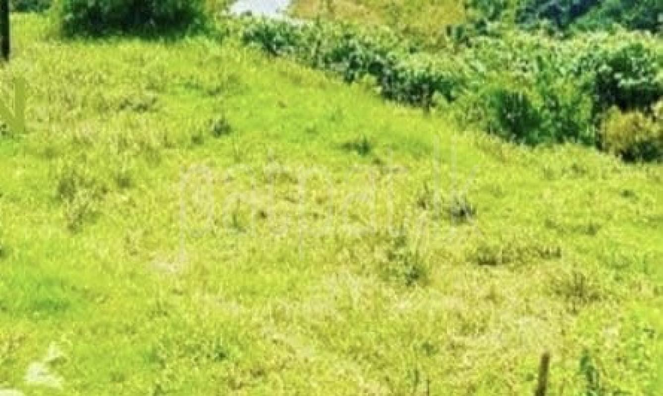 Agricultural Land for Sale in Nuwara Eliya