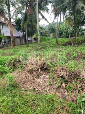 premium-listing-image