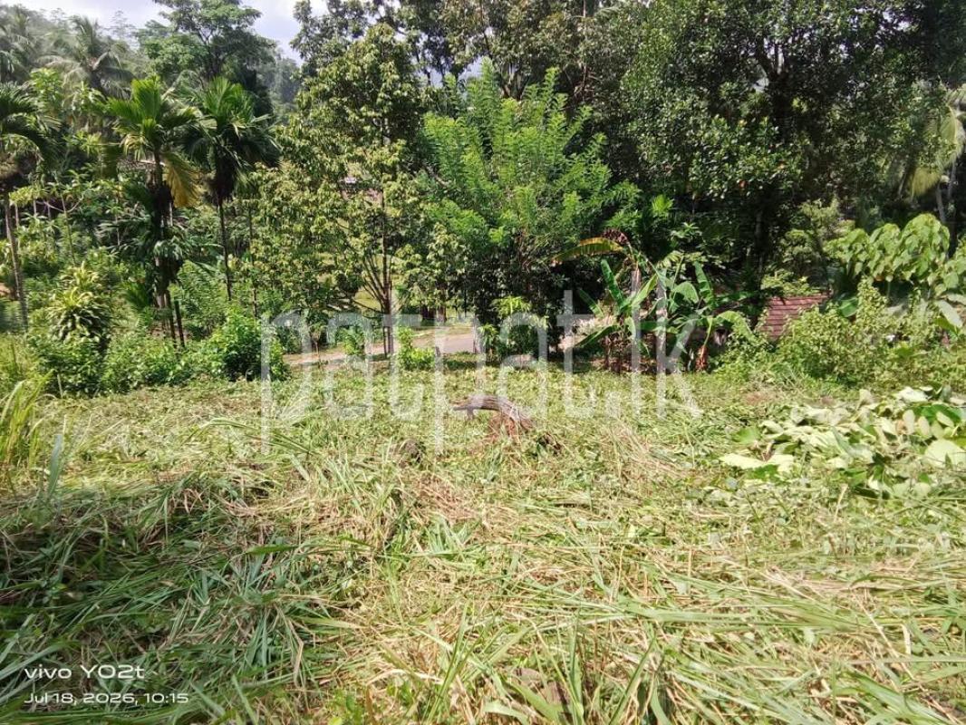 Agricultural Land for Sale in Kuruwita