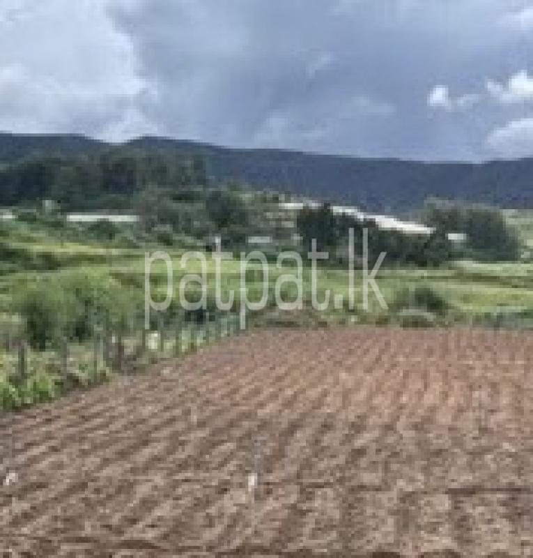 Agricultural Land for Sale in Nuwara Eliya