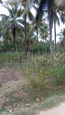 Residential Land for Sale in Melsiripura