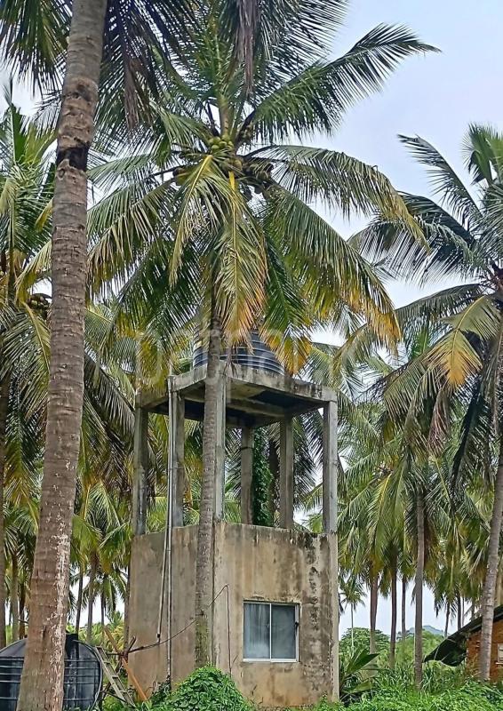 Agricultural Land for Sale in Wariyapola