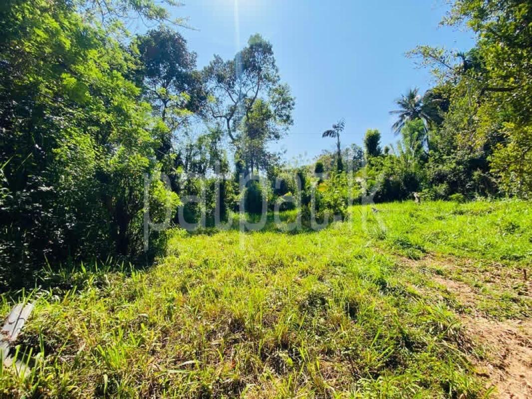 Residential Land for Sale in Kandy