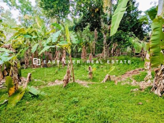 Residential Land for Sale in Ganemulla