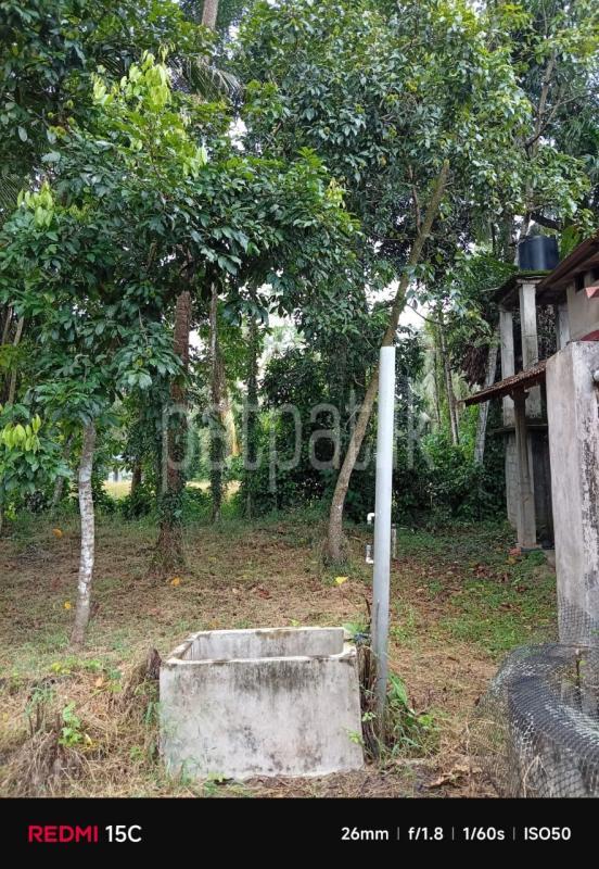 Residential Land for Sale in Veyangoda
