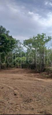 Residential Land for Sale in Kataragama