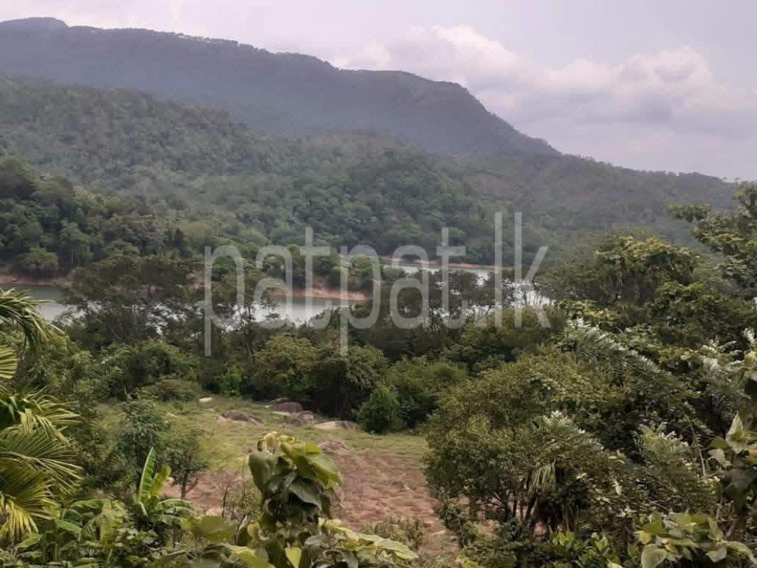 Agricultural Land for Sale in Kandy