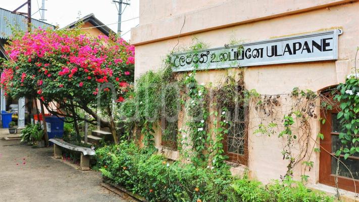 premium-listing-image