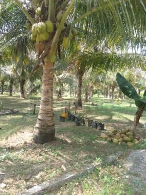House for Sale in Kurunegala