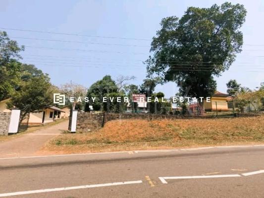 Commercial Land for Sale in Kaleliya