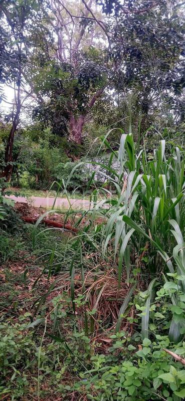 Residential Land for Sale in Kataragama