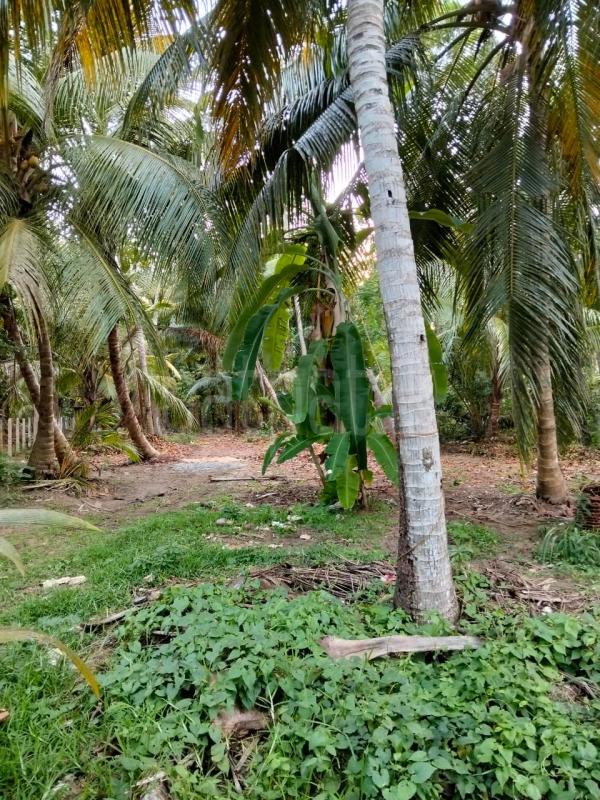 Commercial Land for Sale in Marawila