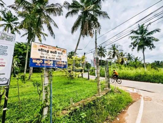 Commercial Land for Sale in Weliveriya