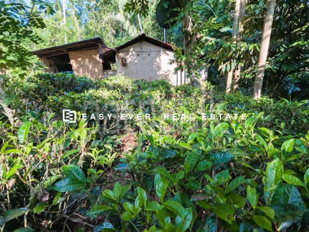 Residential Land for Sale in Algama