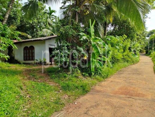 premium-listing-image