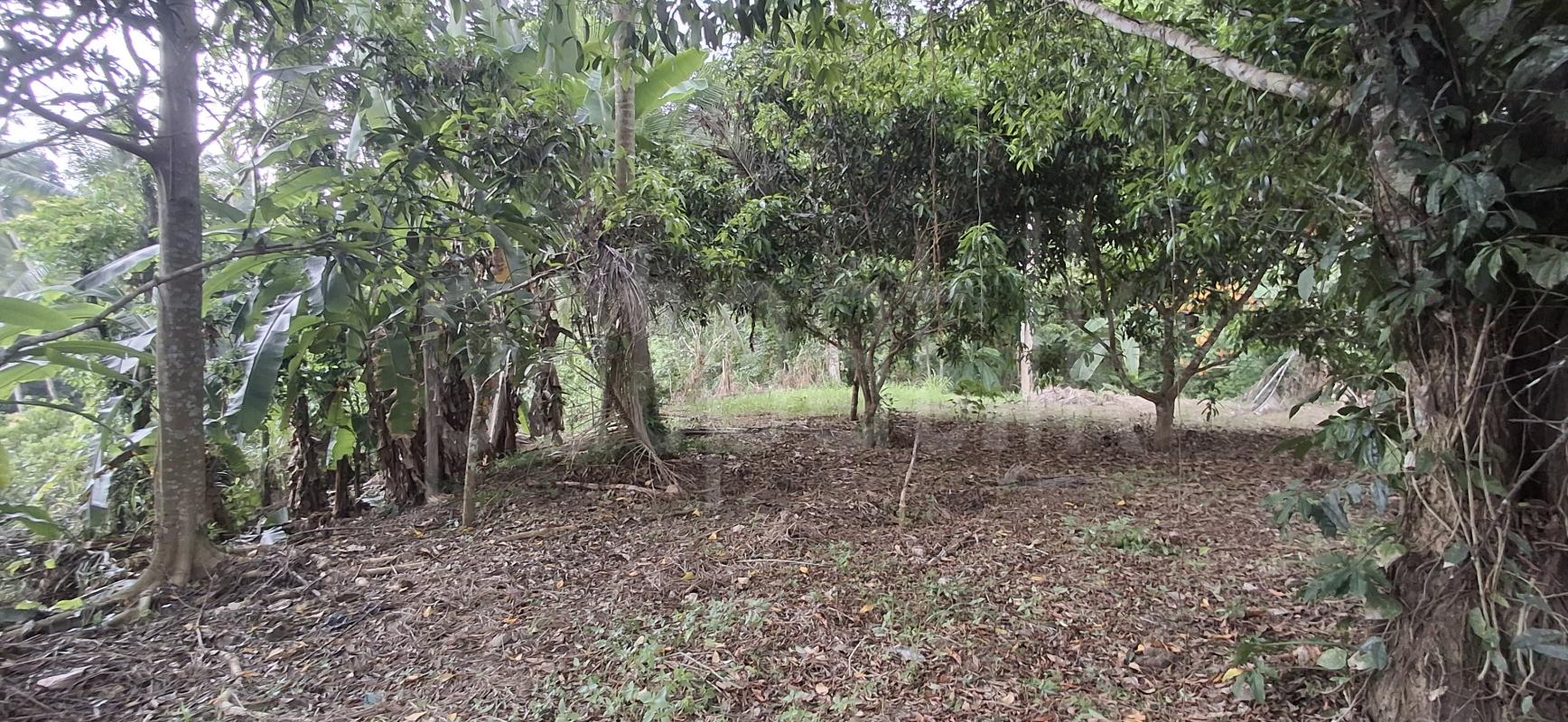 Residential Land for Sale in Yatiyana