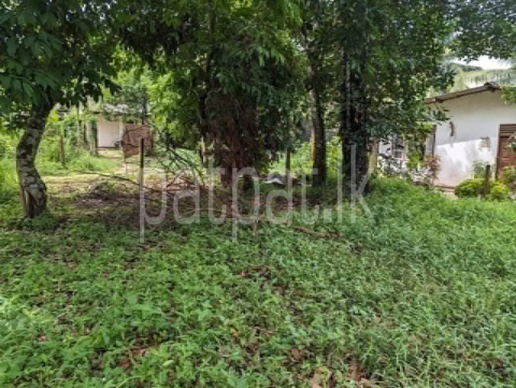 Residential Land for Sale in Kadawatha