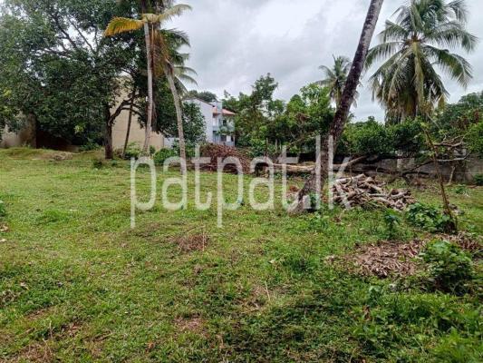 premium-listing-image