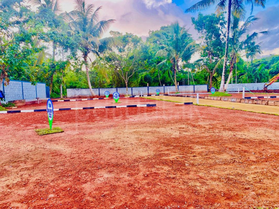 Residential Land for Sale in Wadduwa