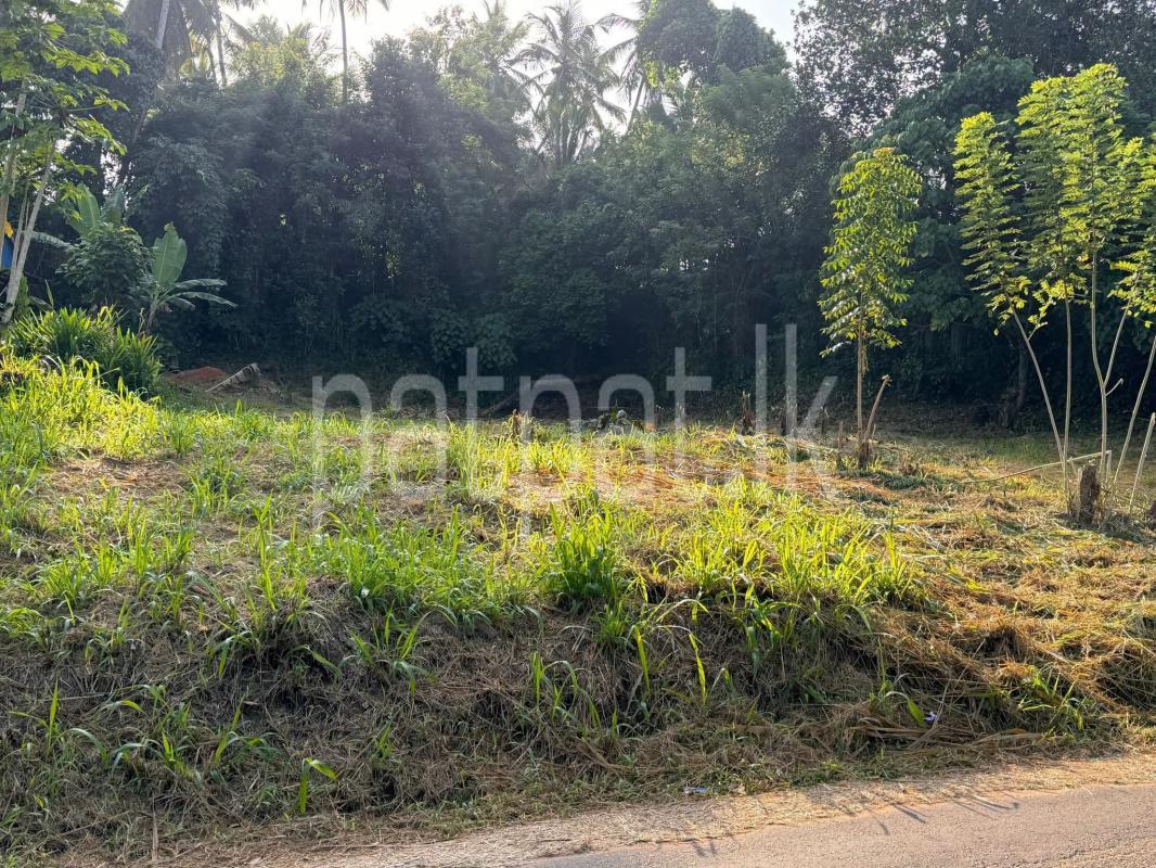 Residential Land for Sale in Veyangoda