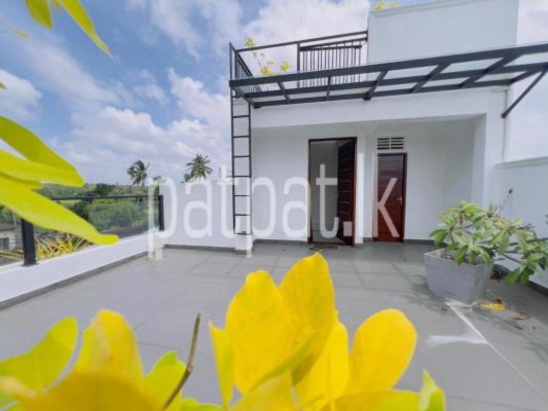 House for Rent in Malabe