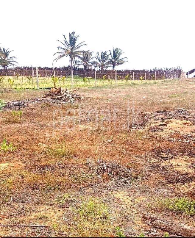 Residential Land for Sale in Chunnakam