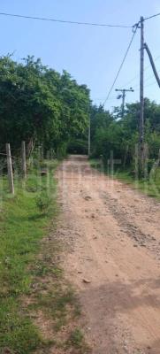Residential Land for Sale in Kataragama