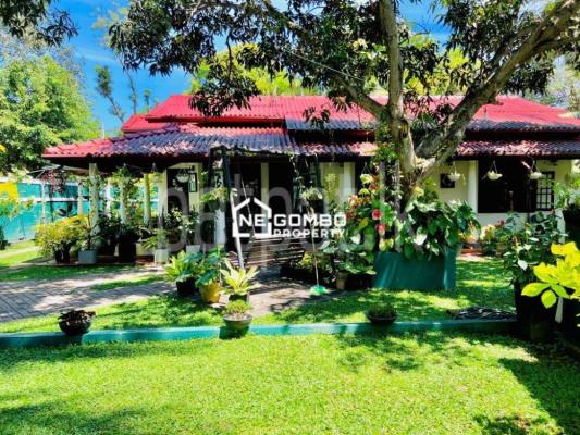 premium-listing-image