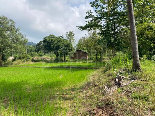 Commercial Land for Sale in Mahiyanganaya