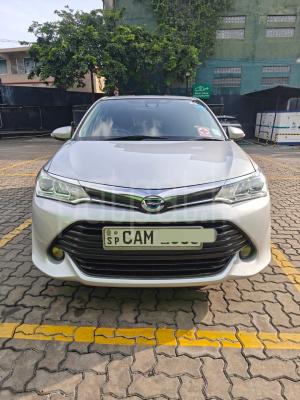 premium-listing-image